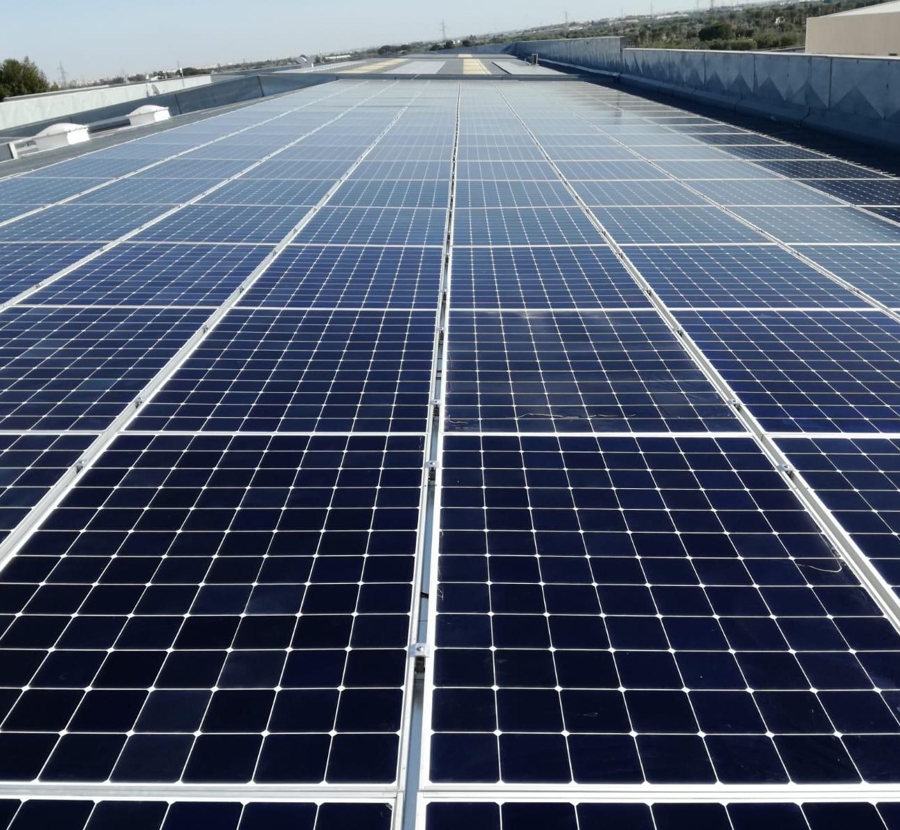 Immagine WhatsApp 2025-01-26 ore 16.43.58_ef3acac9 - Copia